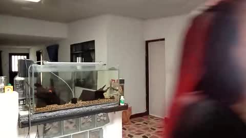 Snapshot of yesika_t chatting on 9, 1, 2026 yesika_t online show from 9, 1, 2026