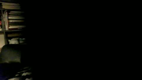 yessex247 online show from 17, 4, 2026