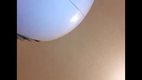 ynwaynwa801 online show from 31, 3, 2026