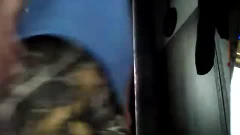 allaboutfun420 online show from 20, 3, 2026