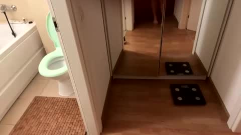 Snapshot of yonise909383 chatting on 3, 2, 2025 yonise909383 online show from 3, 2, 2025