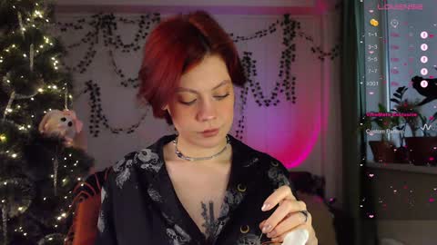 Snapshot of your_corvus chatting on 16, 12, 2024 your_corvus online show from 16, 12, 2024