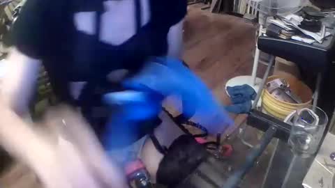 Snapshot of your_dog chatting on 3, 12, 2024 Taylor Tash online show from 3, 12, 2024