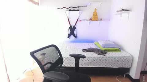 Tao online show from 26, 2, 2026