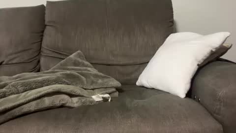 Your Next Guy online show from 9, 11, 2025