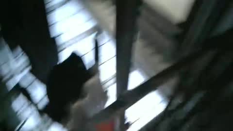 yourpersonalgeniusl online show from 15, 12, 2024