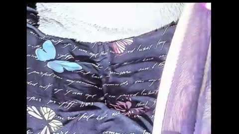 Snapshot of yukiodavis chatting on 10, 10, 2025 Yukio Davis online show from 10, 10, 2025