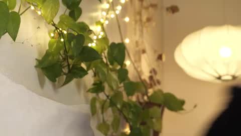 yulla dao online show from 28, 2, 2025