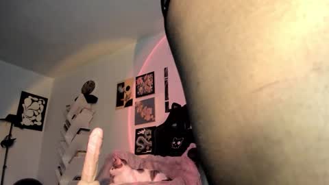 paola online show from 15, 1, 2026