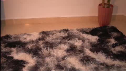 Yuyi Cam online show from 5, 12, 2025