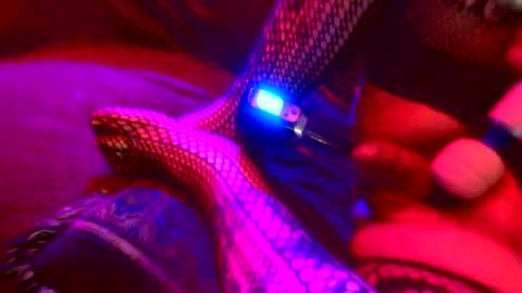 Z0RL0C online show from 4, 10, 2025