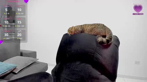 Snapshot of zafiralov chatting on 5, 12, 2025 zafiralov online show from 5, 12, 2025