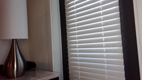 Snapshot of zamoraedii1994 chatting on 2, 1, 2025 Edii online show from 2, 1, 2025