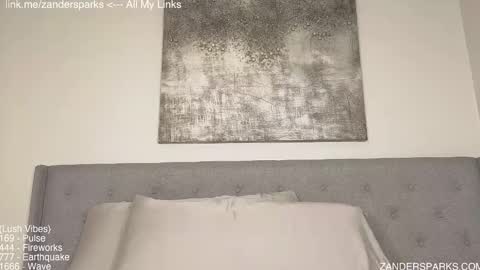 Snapshot of zandersparks chatting on 17, 11, 2025 Zander Sparks online show from 17, 11, 2025