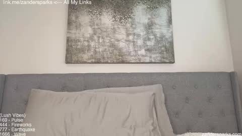 Snapshot of zandersparks chatting on 22, 11, 2025 Zander Sparks online show from 22, 11, 2025