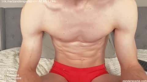 Snapshot of zandersparks chatting on 29, 11, 2025 Zander Sparks online show from 29, 11, 2025