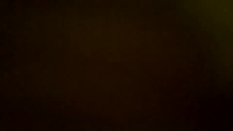 9.3 inch online show from 8, 11, 2025