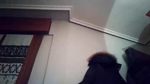 Snapshot of zigor13 chatting on 4, 2, 2026 zigor13 online show from 4, 2, 2026