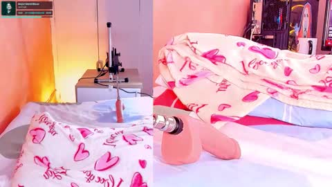    online show from 24, 2, 2026