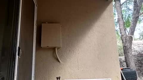 Snapshot of zoeoved92 chatting on 8, 10, 2025 zoeoved92 online show from 8, 10, 2025