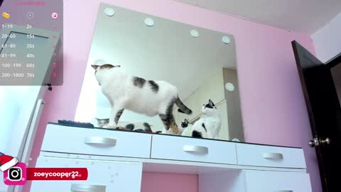 zoey  Independent model online show from 30, 12, 2024