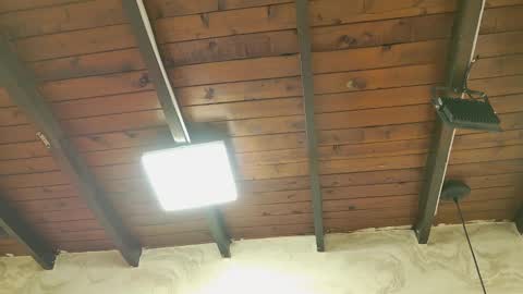 Snapshot of zoley_watson chatting on 6, 10, 2025 zoley online show from 6, 10, 2025