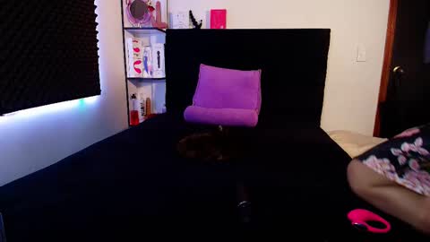 zpzphot online show from 14, 2, 2026