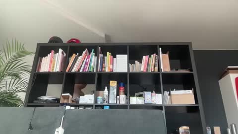 Snapshot of zwickauer1969 chatting on 27, 2, 2025 zwickauer1969 online show from 27, 2, 2025