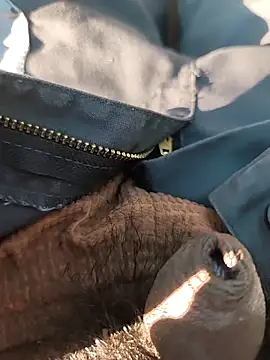 Snapshot of Nishu12356g chatting on 20, 9, 2025 Nishu12356g online show from 20, 9, 2025