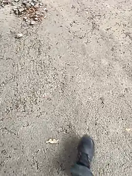 rajstrip12650 online show from 11, 3, 2025