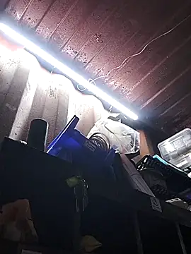 rajstrip12650 online show from 18, 12, 2025