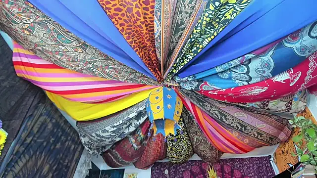 Snapshot of ElizaGrey_ chatting on 23, 2, 2025 ElizaGrey online show from 23, 2, 2025