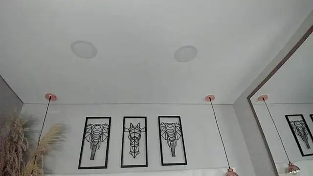 Rebeca jones online show from 26, 11, 2025