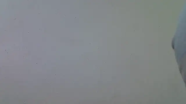 AddictiveAssCurves online show from 18, 3, 2026