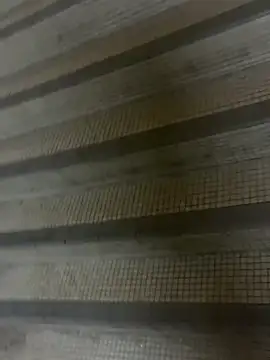 Snapshot of wSilEliaXm chatting on 16, 9, 2025 wSilEliaXm online show from 16, 9, 2025