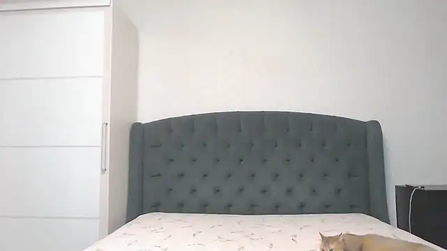 Snapshot of Marselle_Laker chatting on 12, 12, 2024 Marselle Laker online show from 12, 12, 2024