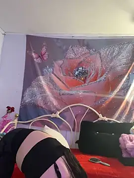 DominiqueX0 online show from 20, 2, 2026