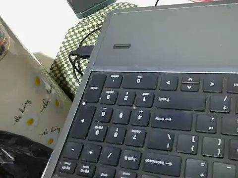 swt wet pus online show from 6, 3, 2026