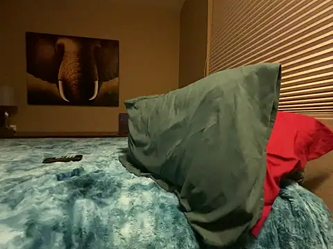 Snapshot of Bwcjoshbanks chatting on 31, 1, 2025 Bwcjoshbanks online show from 31, 1, 2025