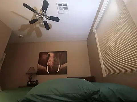 Snapshot of Bwcjoshbanks chatting on 23, 11, 2025 Bwcjoshbanks online show from 23, 11, 2025