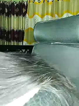 Snapshot of Sima--Roy chatting on 30, 12, 2024 Sima--Roy online show from 30, 12, 2024