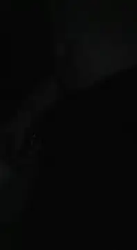 Bi curious86 online show from 13, 11, 2025