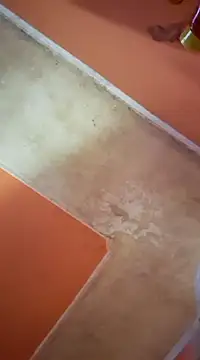 ducicsajsziii online show from 16, 3, 2025