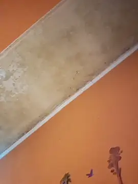 ducicsajsziii online show from 19, 12, 2025