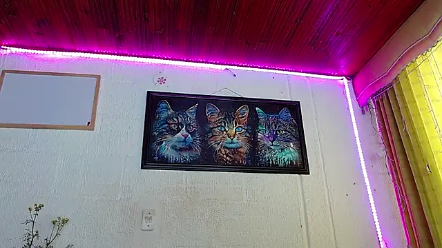 Snapshot of Niky_777 chatting on 5, 2, 2025 Niky 777 online show from 5, 2, 2025