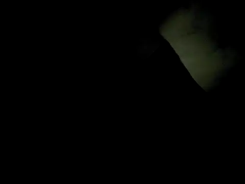 j hollywood91 online show from 2, 12, 2025