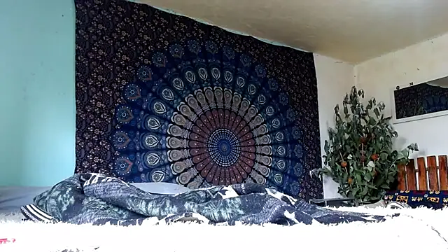 Tylerfordxxx online show from 20, 2, 2026