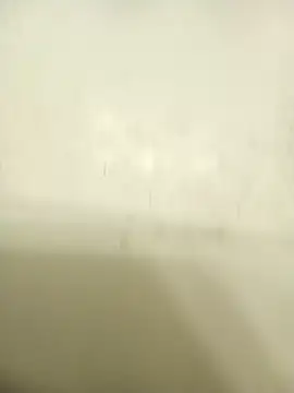 Masternasty online show from 25, 11, 2025