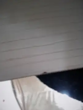 lilian prada online show from 12, 4, 2026