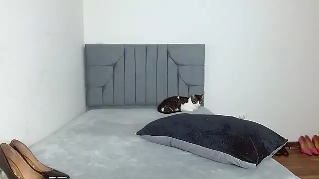 celeste 2023 online show from 7, 1, 2026